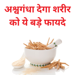 Ashwagandha के 10 फायदे, नुकसान व सेवन की विधि ( Ashwagandha Benefits in Hindi)