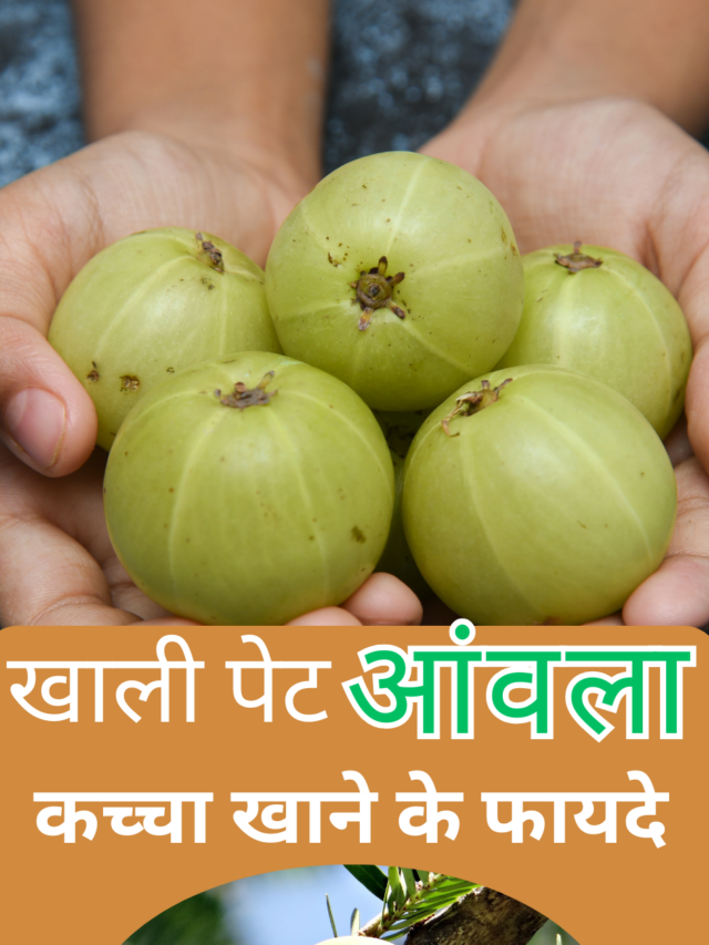 Health tips Amla Benefits